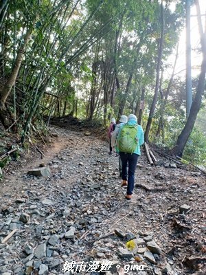 【台中和平】山林野餐。長壽山(肥崠山)山徑2969430