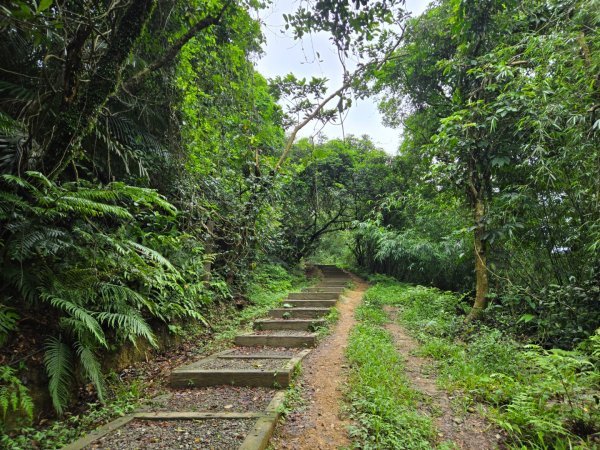劉銘傳隧道、獅球嶺砲台步道、紅龍山3044761