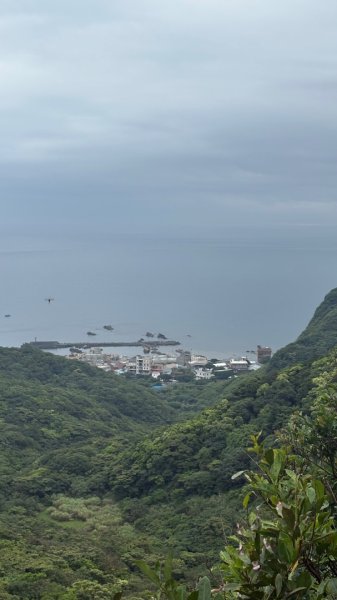 戲水2805572