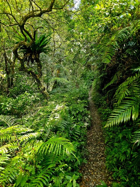 淡蘭南路第四段：𩻸魚堀溪自行車道至縣界公園2873633
