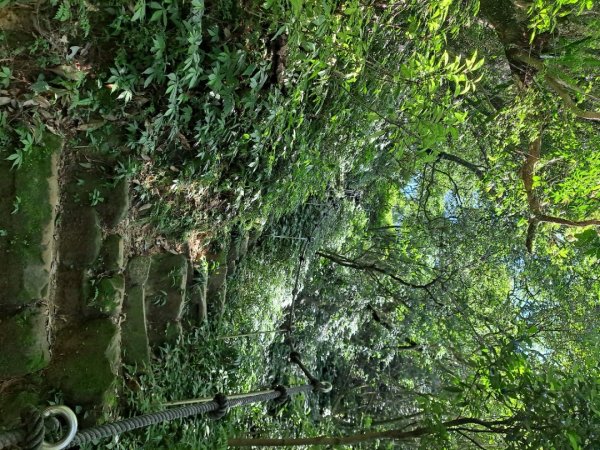 20230911淡蘭古道中段：五分山步道-暖東舊道2446801