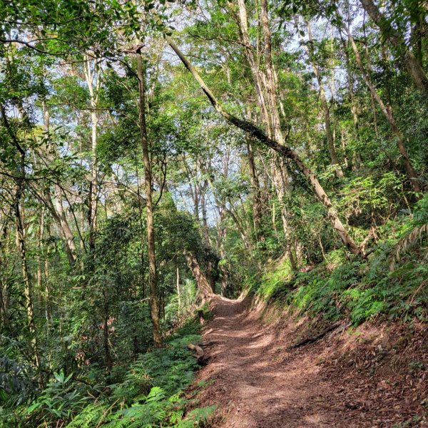 馬那邦山（小百岳）1528301