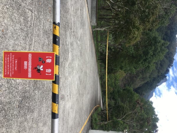 南大窩舊林道～未竟2653056