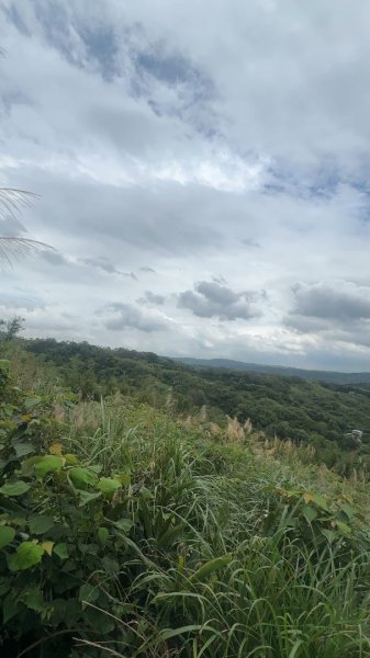 新竹新埔-九芎湖九福步道2618303