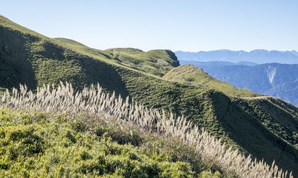 能高-安東軍縱走之/高山秋芒1217149