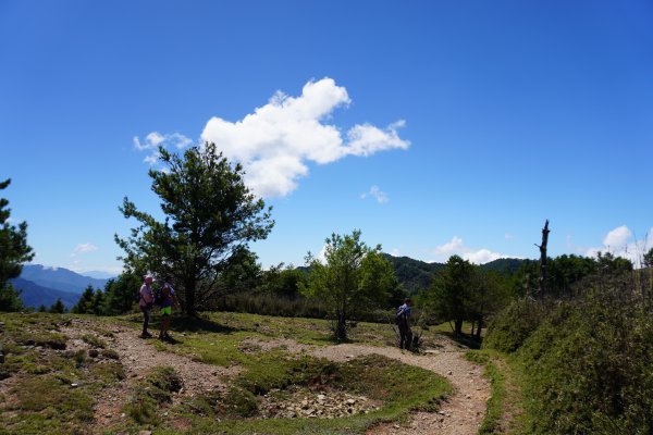 麟趾山一日遊3010208