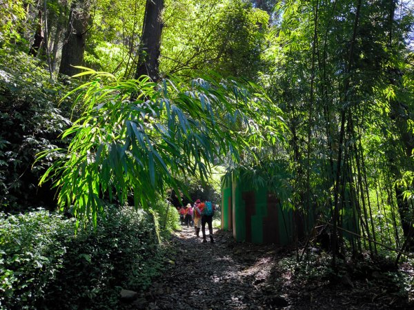 2025-09-14 奮起湖2887403