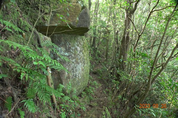 基隆 頂寮山、龍門山、五分山、頂子寮山2265937