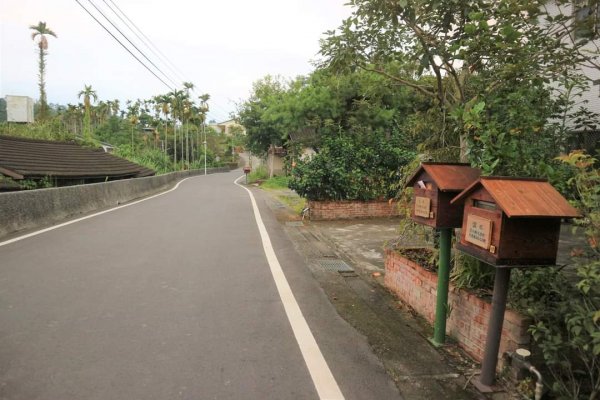 〔南投魚池〕澀水森林環狀步道，田頂步道。我真的走入侏儸紀公園裡！！！原來摸黑下山是這種感覺！！！2264293