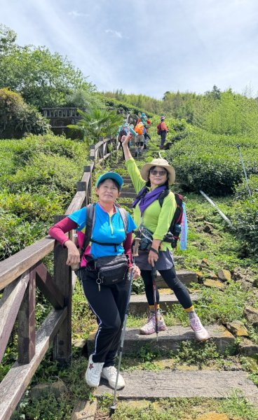 頂石槕步道群順訪樂野山2820864