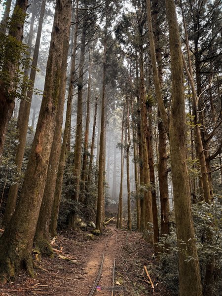 加里山中線2560214