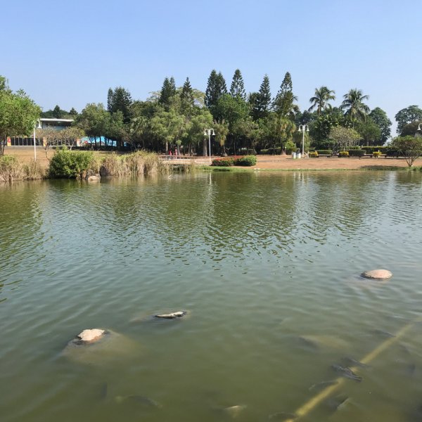 彰化溪州公園1908755