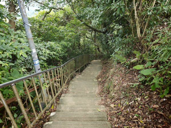[淡蘭古道] 2026_0523 南路第一段_糶米古道3069474