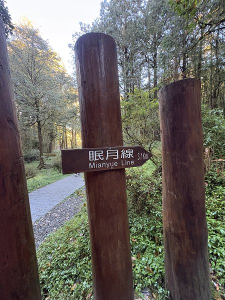 20251225塔山步道(大塔山)2970267