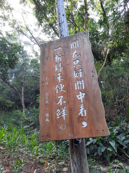 《彰化》田中森林登山步道O型202011221179691