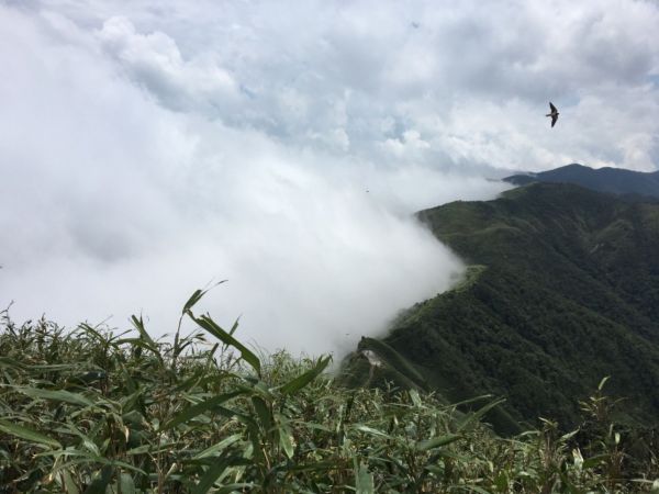 礁溪聖母山莊&三角崙山377072