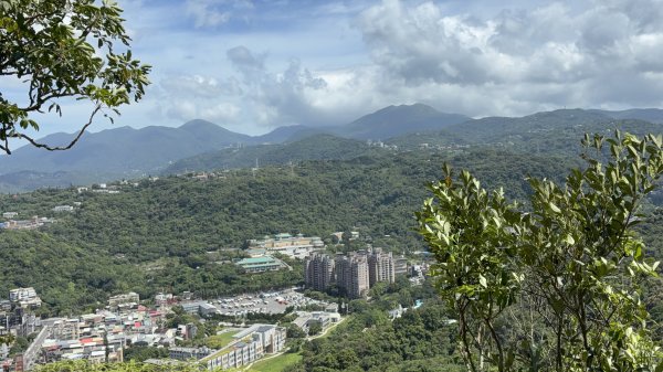 台北大縱走2026｜💎尋寶穿越蝴蝶蘭步道！第五段｜劍潭(山)→文間山→忠勇山→碧山巖3066746
