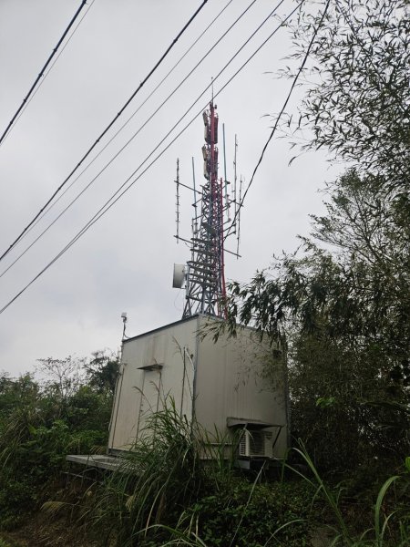 20241222冷飯坑山-楓子林山-烏月山群峰-昇高坑山-竹麻寮山2674708