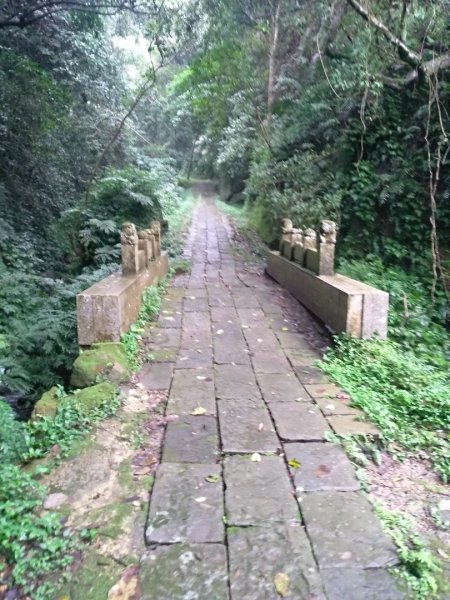 獅山古道一雨中同行1597616