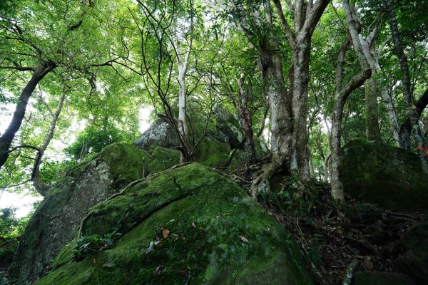 新竹 五峰 油羅山、霞山2798236