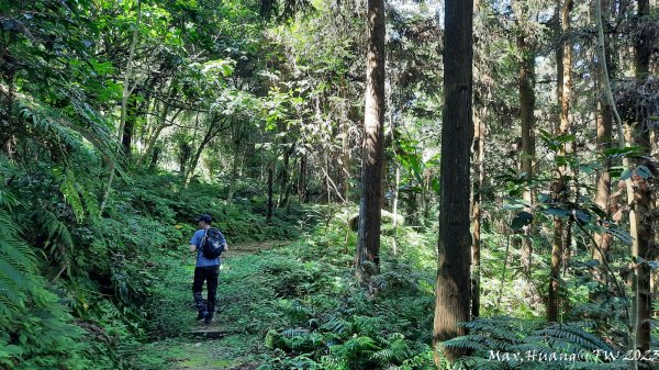 《南投》清新小旅｜鳳凰自然教育園區步道及小半天202311052336988