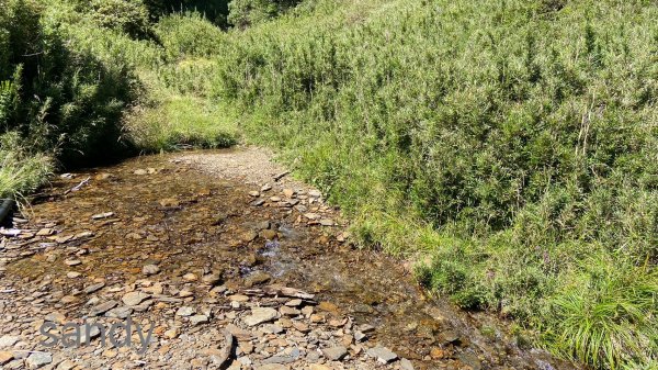 合歡北峰下小溪營地2891605