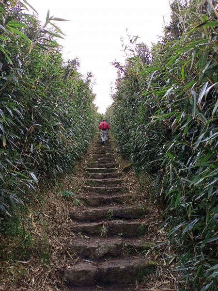 【臺北大縱走 2】鞍部→大屯群峰→清天宮1276301