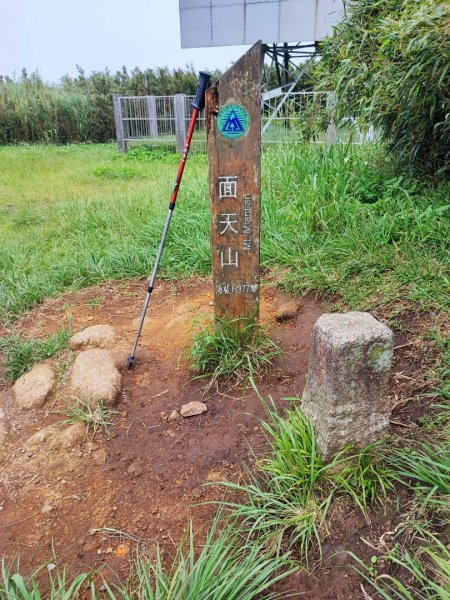 面天山、向天山步道 - 走遍陽明山尋寶任務2262943