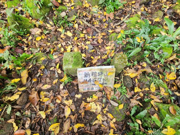 20251214石牛山柑坪山新柑坪山牛背岩2972751