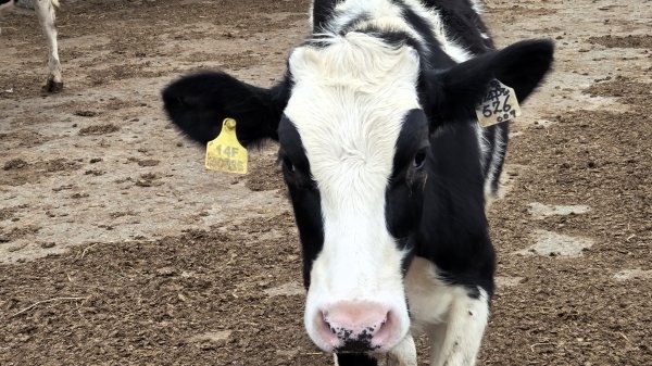 北部出發來去中部悠哉走個鐵砧山2993383