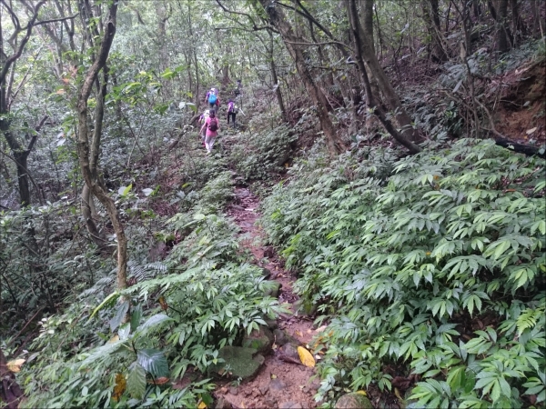 隆隆古道(福卯古道)順登靈鷲山無生道場