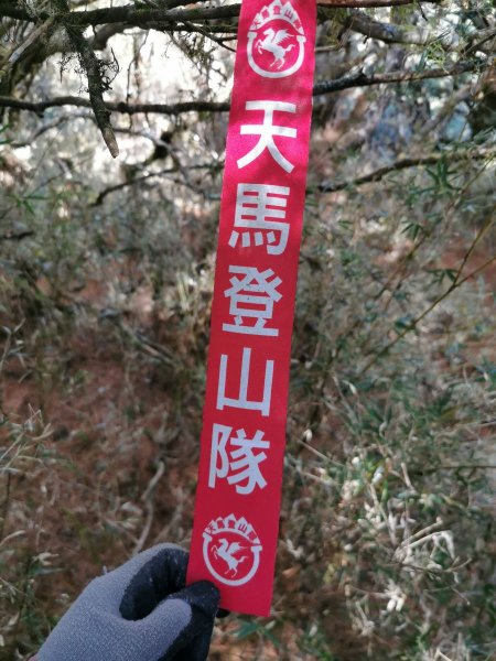 南三段縱走-百里長征在雲端-丹大東郡橫斷908878