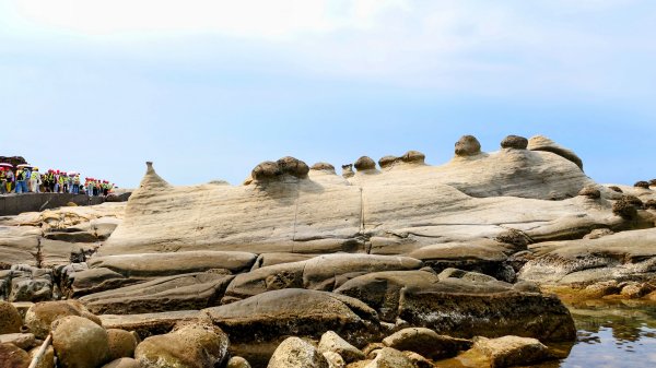 和平島(含阿拉寶灣)2821371
