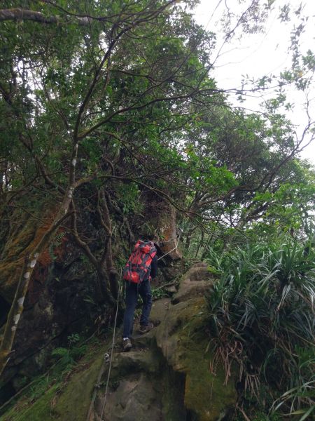 筆架連瘋（炙子頭山,筆架山,二格山）395112