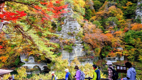 福島縣塔之斷崖2930278