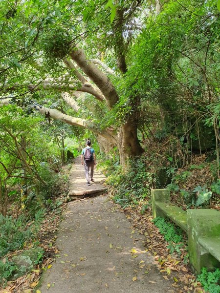 福隆山+硬漢嶺~雙步道連走956820