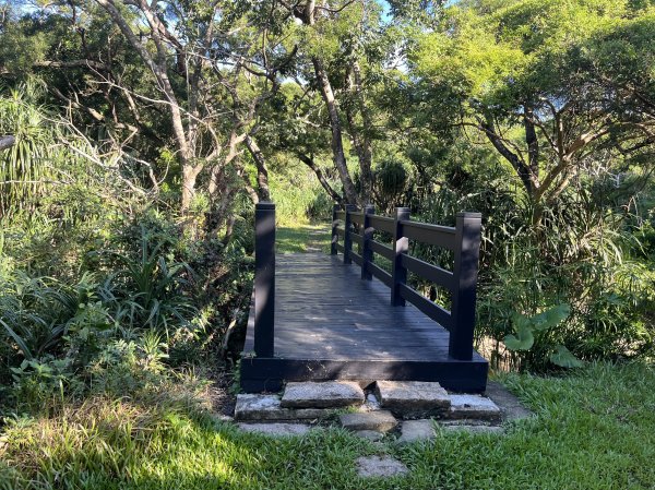 [屏步青雲 尋寶任務-07/10] 2024_1006 社頂自然公園步道2616886