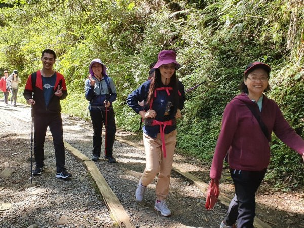 【阿里山】特富野古道1093696