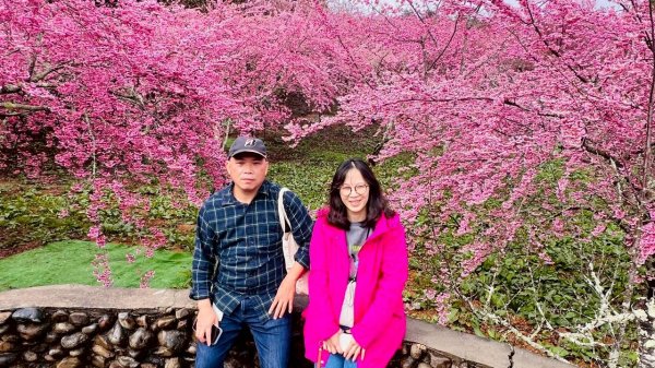 🌈3/1（日）福壽山農場~千櫻園✨FB：熊熊趴爬走🌈3008562