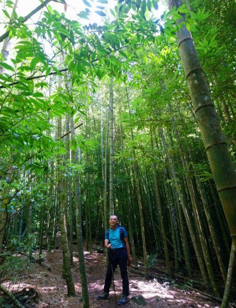 鳶嘴西稜O走（大崠山、長壽山、鳶嘴山）1073394