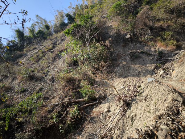 2026-02-10 白雲山2999918