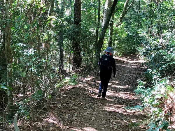 埔里關頭山走舊武界越山502378