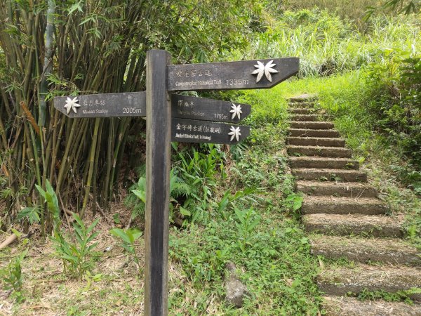 淡蘭北路第四段：瑞芳車站至雙溪車站3113221