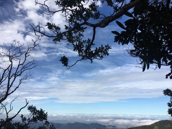 上島山（鳥嘴山2650152