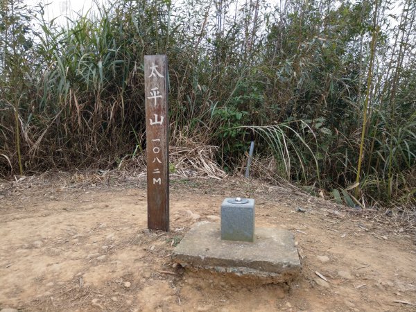 梨子腳山(小百岳#57) & 太平雲梯 (2021/1/29)1423196
