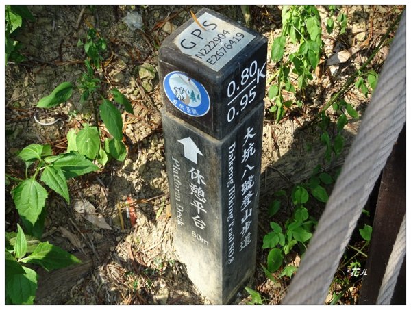 大坑8號步道/風動石公園1480214