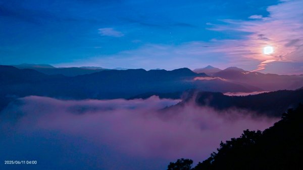 跟著雲海達人山友追雲趣 #草莓月亮 #月圓雲海 #霞光 #日出雲海 #茶園 6/112808815