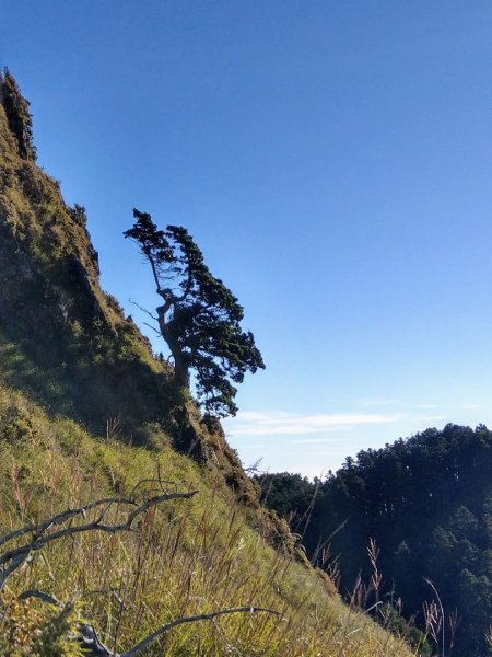 1090812桃山/喀拉業單攻1106312