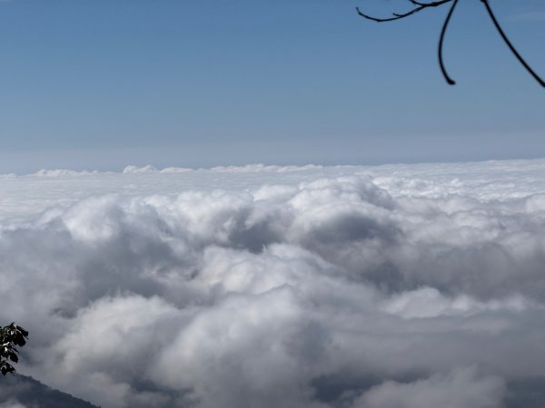 1141215塔山步道2962711