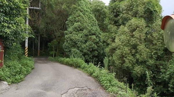 20250607 新竹竹東三山(樹杞林山 - 新具庄山 - 員崠子山)  O型2808871